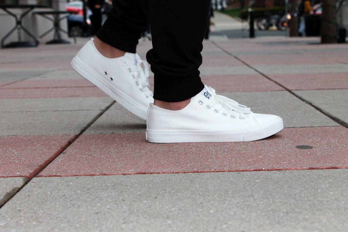 Retro Low Top White Casual Summer Sneaker